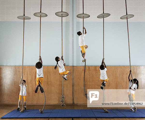 Eine Gruppe von Kindern in einer Turnhalle  die an den Seilen hochklettern.