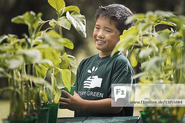 Ein Junge mit Jungpflanzen in einer Gärtnerei.