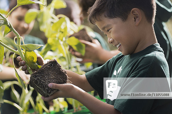 Kinder in einer Gruppe  die etwas über Pflanzen und Blumen lernen  in einem Afterschool-Club oder Sommercamp.