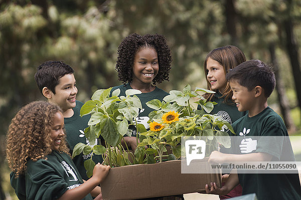 Kinder in einer Gruppe  die über Pflanzen und Blumen lernen und Sonnenblumen und junge Pflanzen betrachten.