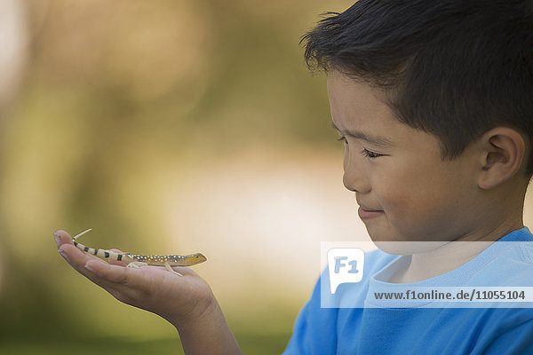 Ein Junge  der einen Gecko oder eine Eidechse auf der Hand hält.