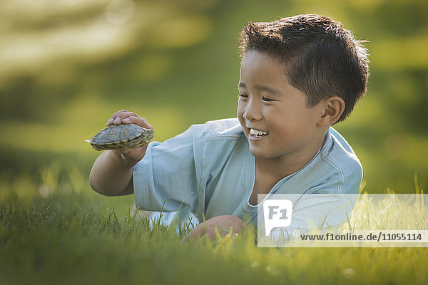 Ein Junge  der im Gras liegt und eine kleine Sumpfschildkröte oder Schildkröte hält.