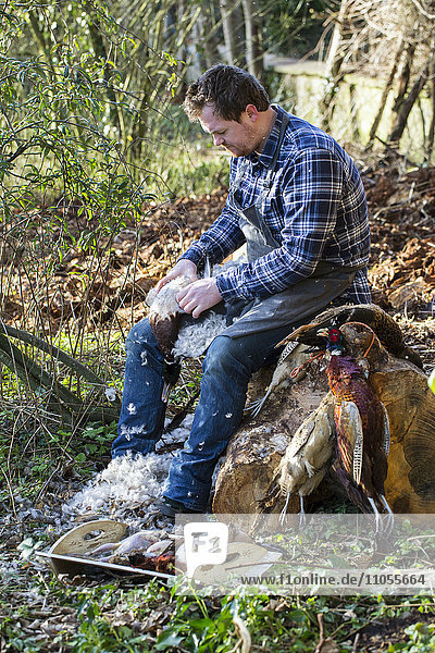 Ein Mann sitzt auf einem Baumstumpf und rupft einem Wildvogelkadaver Federn aus.