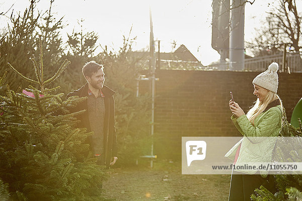 Ein Mann und eine Frau wählen einen traditionellen Kiefern- oder Weihnachtsbaum aus einer großen Auswahl in einem Gartenzentrum.