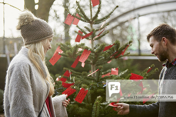 A woman choosing a traditional pine tree  Christmas tree reading the red handwritten labels on the branches.
