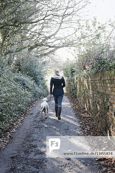 Eine Frau geht mit einem Hund auf einem Feldweg spazieren.