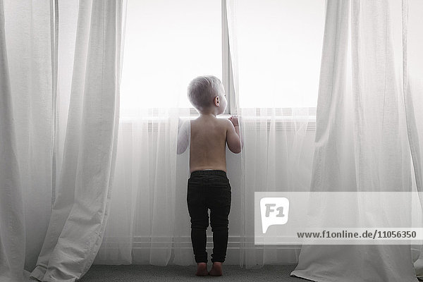 Ein Kind steht an einem Fenster und schaut durch die Gardinen nach draußen. Ansicht von hinten.