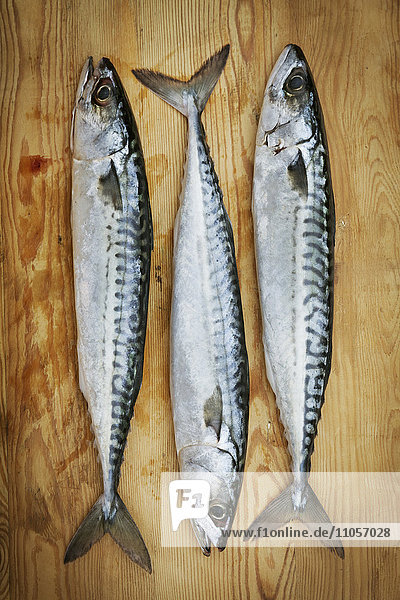 Three fresh mackerel lying on a chopping board.