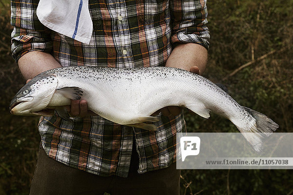 Close up of a chef holding a fresh salmon in his hands.