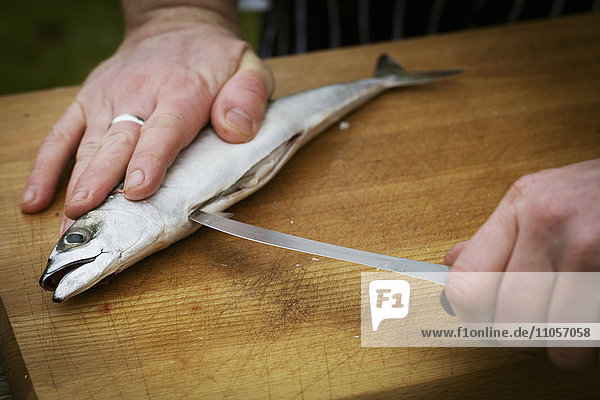 Close up of a chef filleting a fresh fish.