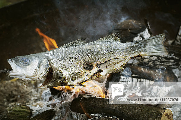 Whole fish grilled on a barbecue.