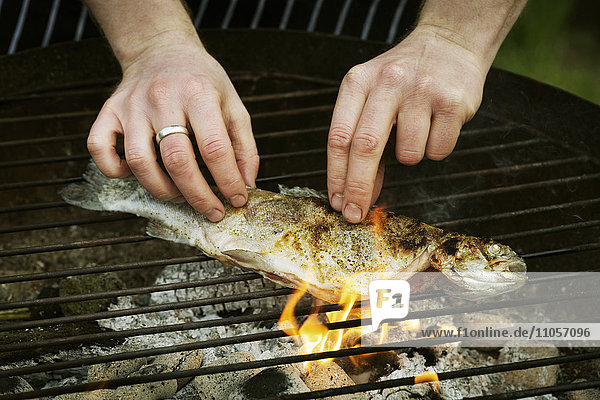Chef grilling a whole fish on a barbecue.