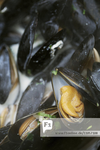Close up of a pan of steamed Black Mussels.