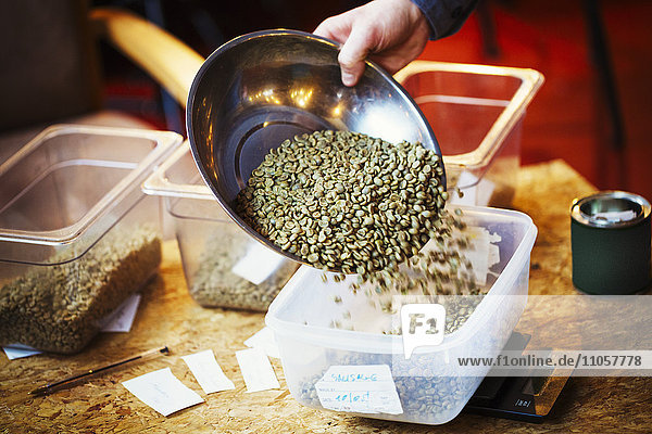 Spezialisiertes Kaffeehaus. Eine Person  die grüne  naturbelassene Kaffeebohnen in eine Wanne gießt.