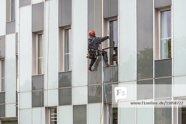 Fensterputzer an Hochhausfassade  Hamburg  Deutschland  Europa