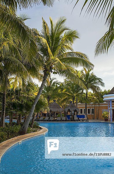Palmen  Pool  Liegestühle  Palm Sonnenschirme  Iberostar Paraiso Beach Resort  Playa del Carmen  Quintana Roo  Riviera Maya  Mexiko  Nordamerika