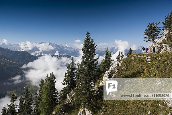 Am Jenner mit Blick auf Berchtesgadener Alpen  Nationalpark Berchtesgaden  Berchtesgadener Land  Oberbayern  Bayern  Deutschland  Europa