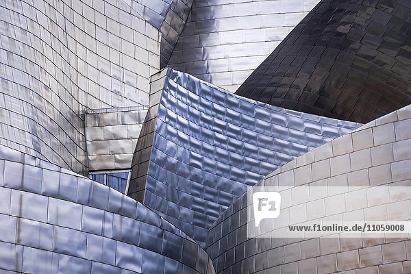 Guggenheim-Museum Bilbao  Architekt Frank O. Gehry  Detailansicht  Bilbao  Baskenland  Spanien  Europa