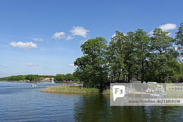 Pier at a lake  Mirow at Lake Mirow  Mecklenburg Lake District  Mecklenburg-Western Pomerania  Germany  Europe