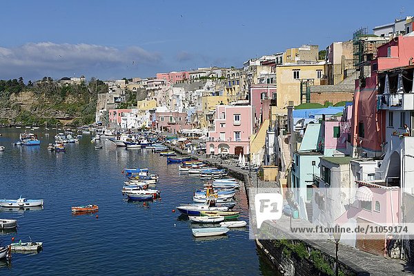 Marina di Corricella  Insel Procida  Phlegräische Inseln  Golf von Neapel  Kampanien  Italien  Europa