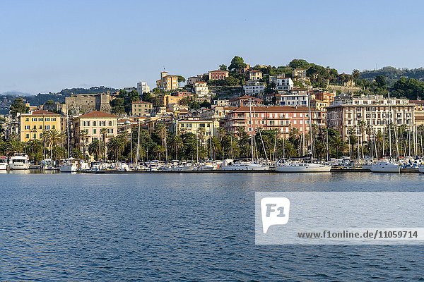 Häuser der Stadt La Spezia auf einem Hügel über dem Hafen  Provinz La Spezia  Ligurien  Italien  Europa