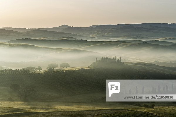 Typische Landschaft der Toskana im Val d'Orcia  Bauernhof auf einem Hügel  Felder und Zypressen (Cupressus sp.)  Bäume und Morgennebel bei Sonnenaufgang  San Quirico d'Orcia  Toskana  Italien  Europa