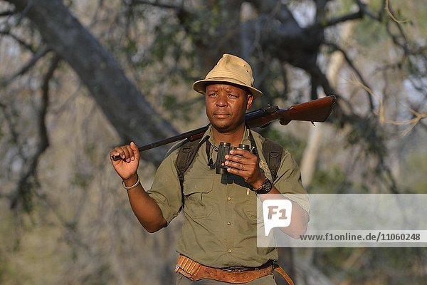 Guide mit Fernglas und Gewehr auf einer Fußsafari  Mana Pools Nationalpark  Provinz Mashonaland West  Simbabwe  Afrika