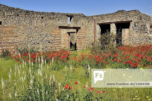 Ruine Bürgerhaus antike Stadt Pompeji Kampanien Italien Europa
