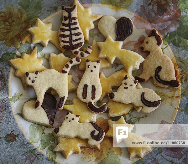 Christmas cookies  sweet biscuits  cats and stars