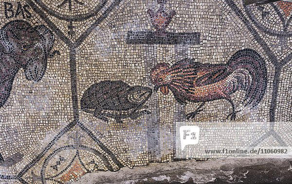 Frühchristliches Mosaik mit Tiersymbolik  4.Jh.  freigelegt in romanischer Basilika  Aquileia  Provinz Udine  Region Friaul-Julisch Venetien  Italien  Europa