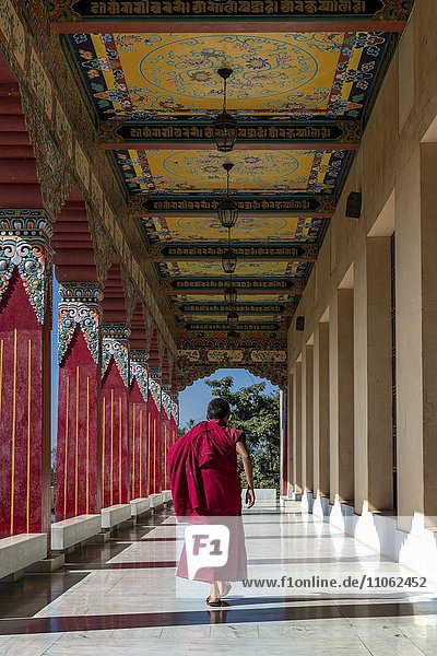 Ein junger Mönch vom Kloster Amitabha  Kloster Amitabha  Nepal  Asien