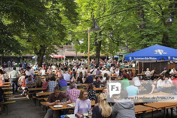 Biergarten Augustiner Keller Munchen Maxvorstadt Oberbayern Bayern Deutschland Europa