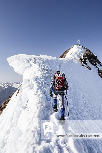 Bergsteiger beim Aufstieg im Schnee auf die Wildspitze auf dem Gipfelgrat mit Schneewächte  Vent  Sölden  Ötztal  Ötztaler Alpen  Tirol  Österreich  Europa