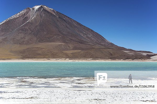 Laguna verde with deposits of borax on the shore and snow on the mountains  near Uyuni  Altiplano  Bolivian border  Chile  South America