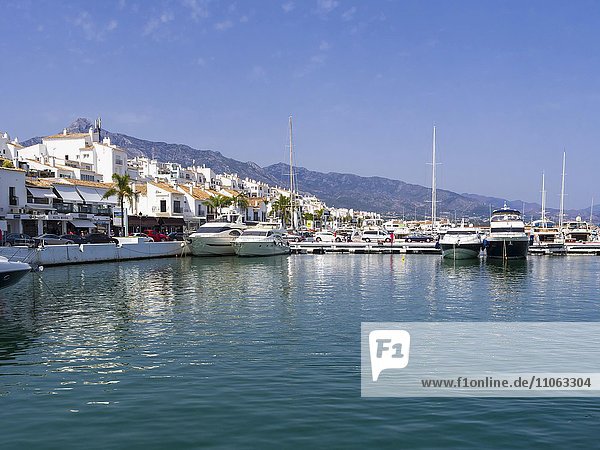 Hafen mit Luxusyachten  Porto Banús  Marbella  Costa del Sol  Andalusien  Spanien  Europa