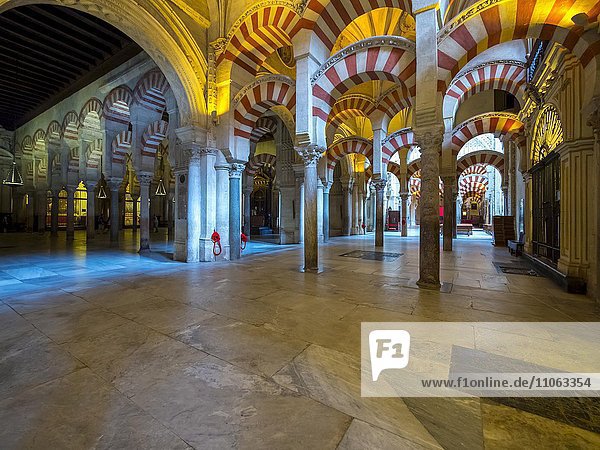 Interior of the Mosque of Cordoba  portico  Córdoba province  Andalucía  Spain  Europe