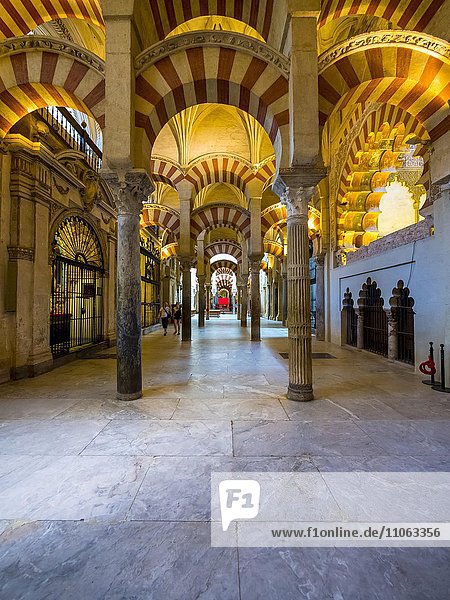 Innenraum der Mezquita-Catedral de Córdoba  Säulenhalle  Córdoba  Andalusien  Spanien  Europa