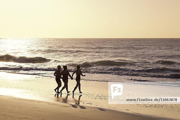 Drei Frauen laufen am Strand ins Wasser bei Gegenlicht  Caloundra  Queensland  Australien  Ozeanien