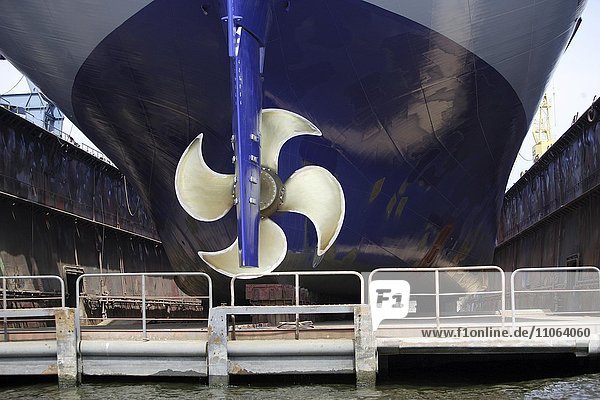 Hamburger Überseehafen  Schiffsschraube des Frachtschiffs Aurora auf einem Schwimmdock in der Werft im Freihafen  Hansestadt Hamburg  Deutschland  Europa