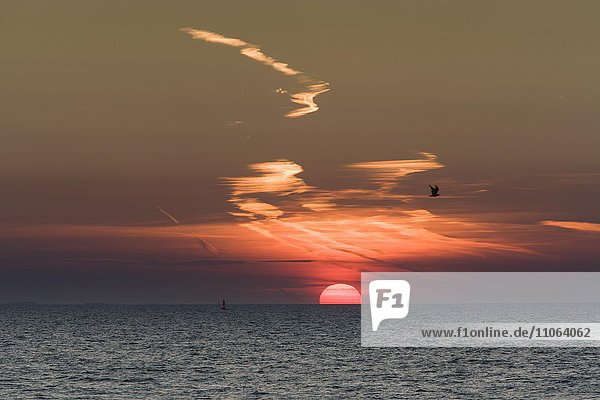 Sonnenaufgang vor der Insel Fehmarn  Ostsee  Schleswig-Holstein  Deutschland  Europa