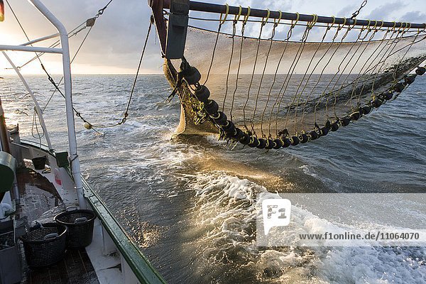 Fangfahrt mit Netz eines Krabbenkutters mit Netz vor Büsum  Nordsee  Dithmarschen  Schleswig-Holstein  Deutschland  Europa