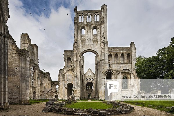 Ruine der Abtei Jumièges  Département Seine-Maritime  Normandie  Frankreich  Europa