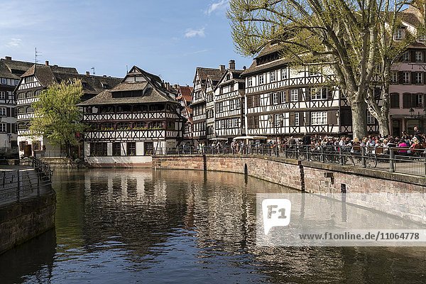 Fachwerkbauten am Fluss Ill  Gerberviertel La Petite France  Straßburg  Elsass  Frankreich  Europa