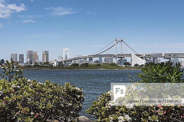 Rainbow Bridge und Gegend um Tokyo Bay  Blick von Odaiba aus  Tokio  Japan  Asien