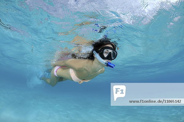Junge Frau schnorchelt an der Wasseroberfläche  Indischer Ozean  Malediven  Asien