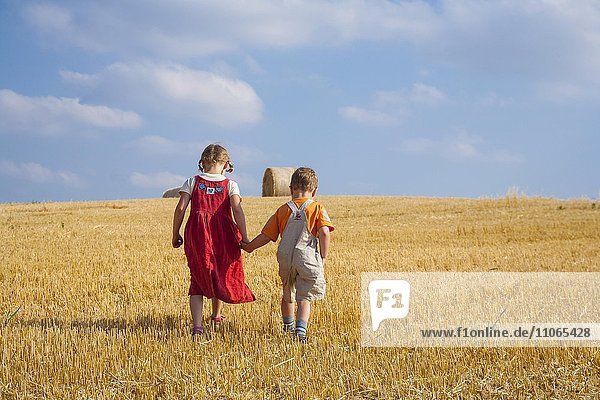 Girl and boy holding each other's hands and walking on a large stubble field  Germany  Europe