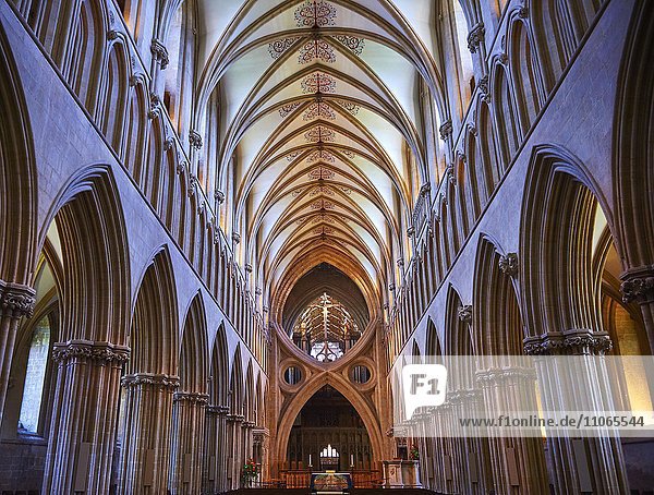 Innenansicht der mittelalterlichen Kathedrale von Wells  Wells  Somerset  England