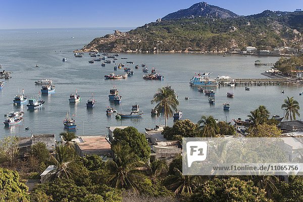 Bunte Fischerboote in der Bucht von Vinh Hy  Provinz Ninh Thu?n  Südchinesisches Meer  Vietnam  Asien