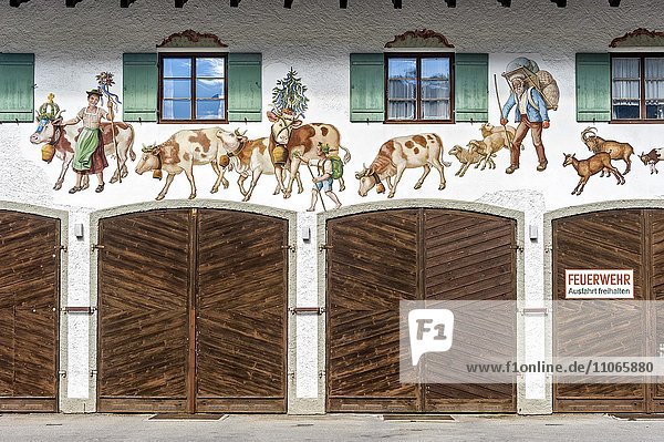 Bavarian Lüftlmalerei on a house wall  rural scene with cows and sheep  Old Town Hall with firehouse  Bayrischzell  Upper Bavaria  Bavaria  Germany  Europe