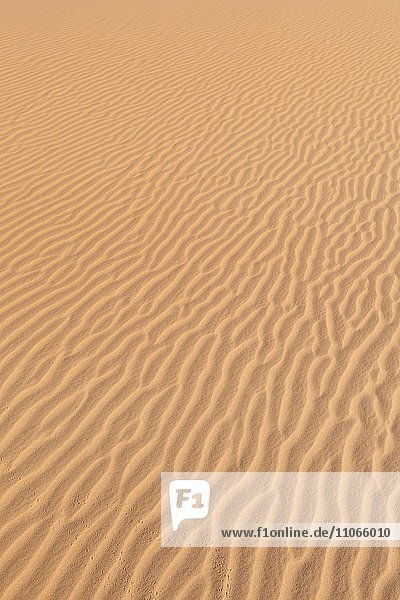 Dünen  Wellen  roter Sand in der Wüste  Erg Chebbi  Merzouga  Sahara  Marokko  Afrika